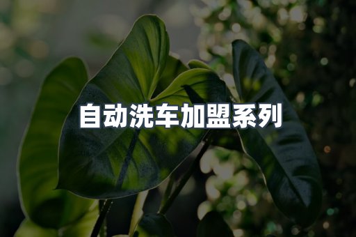 自动洗车加盟系列